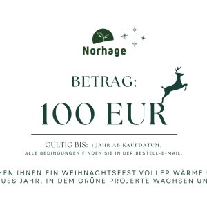 100-Euro-Geschenkkarte