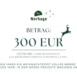 300-Euro-Geschenkkarte