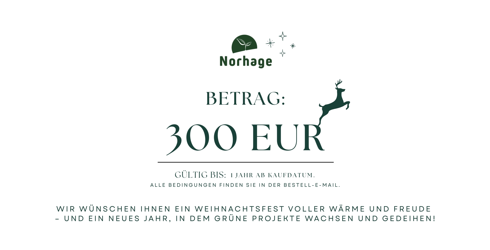 300-Euro-Geschenkkarte