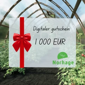 Digitaler Gutschein – 1 000 EUR