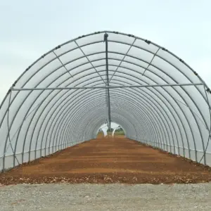 Tunnelgewächshaus System